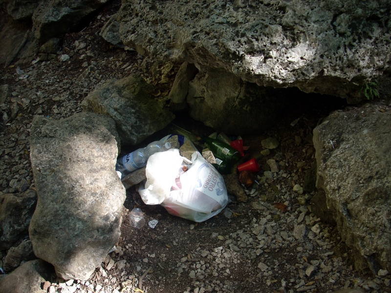 DSCN4271.JPG