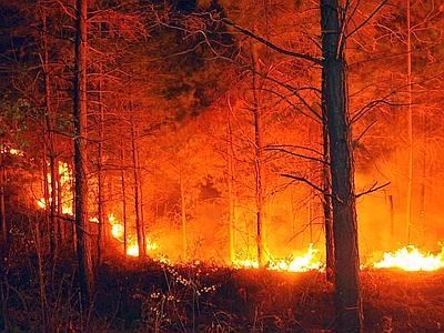 incendio_boschivo.jpg