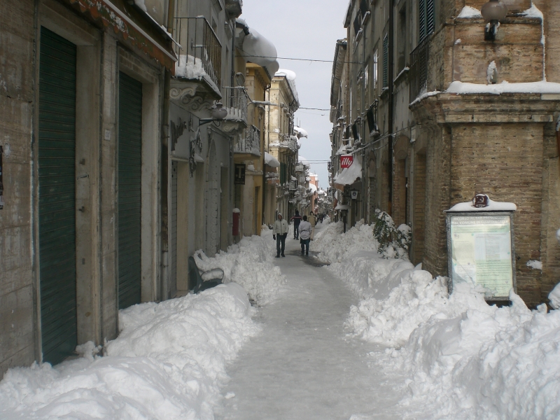 neve_2011.jpg