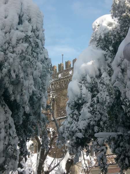neve_2011_3_.jpg