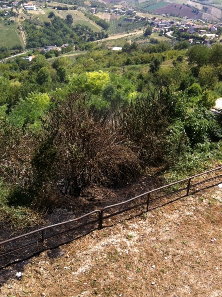 La zona interessata dalle fiamme