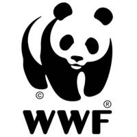 WWF_chieti.jpg