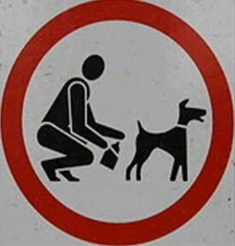 cacca-cane.jpg