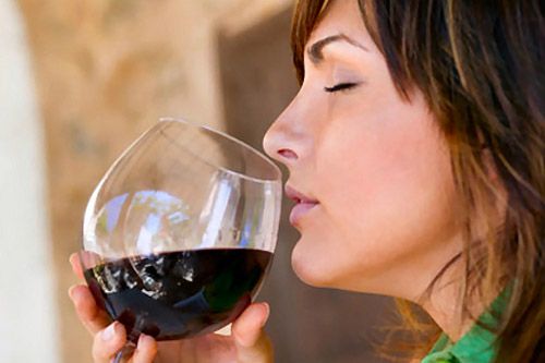 Vino1.jpg