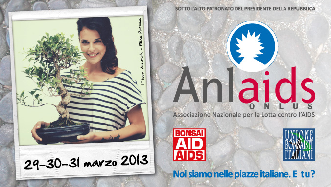 bonsai-aid-aids1.jpg