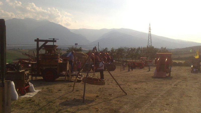 s-biase-1.jpg