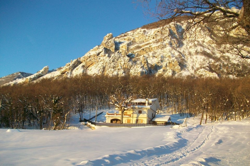 la Casa Vacanze Bosco dei Daini