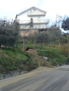 frana-guardiagrele.jpeg
