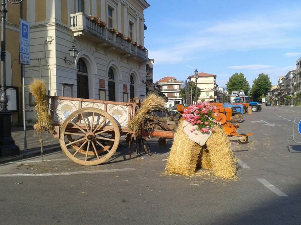 Fiera-di-San-Giovanni-a-Orsogna.jpg